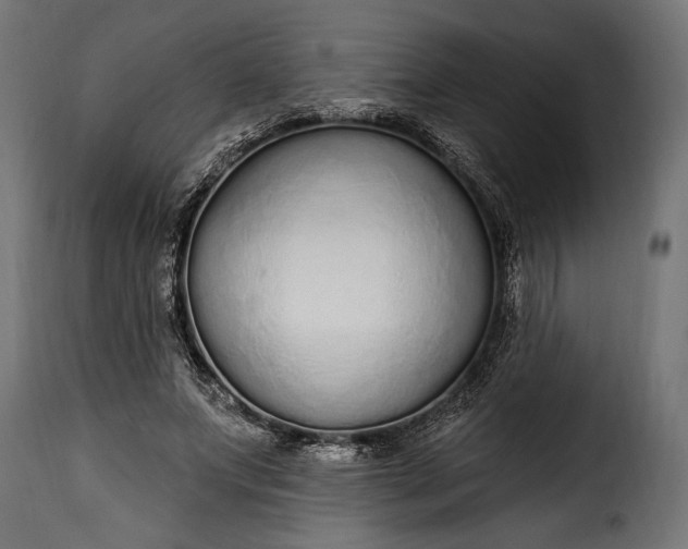 X0000115630687200911241647