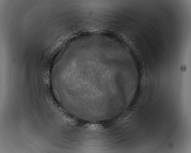 X0000115630689200911241647