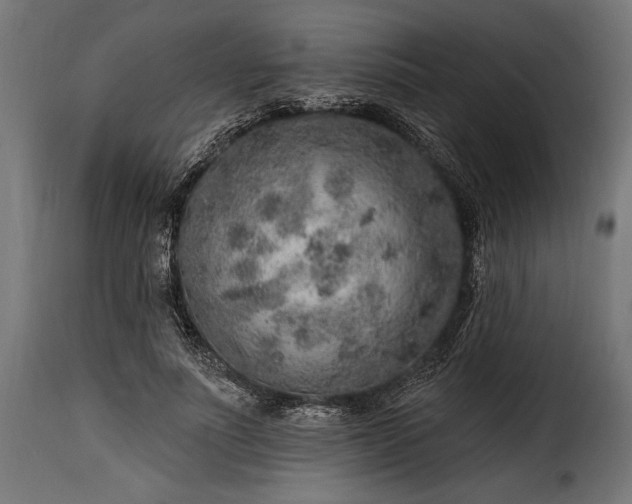 X0000115630691200911241647