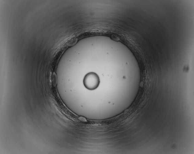 X0000115630692200911241647