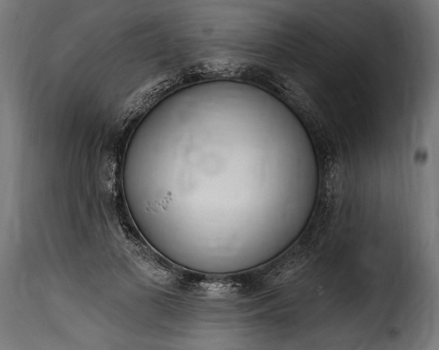 X0000115630693200911241647