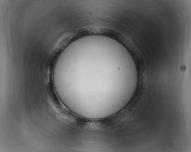 X0000115630694200911241647