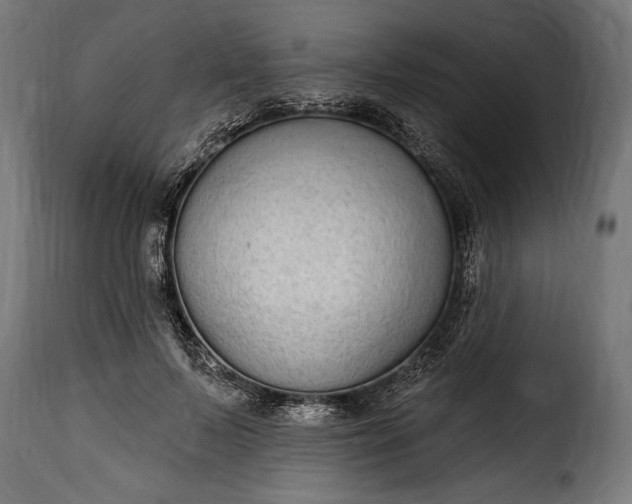 X0000115630695200911241647