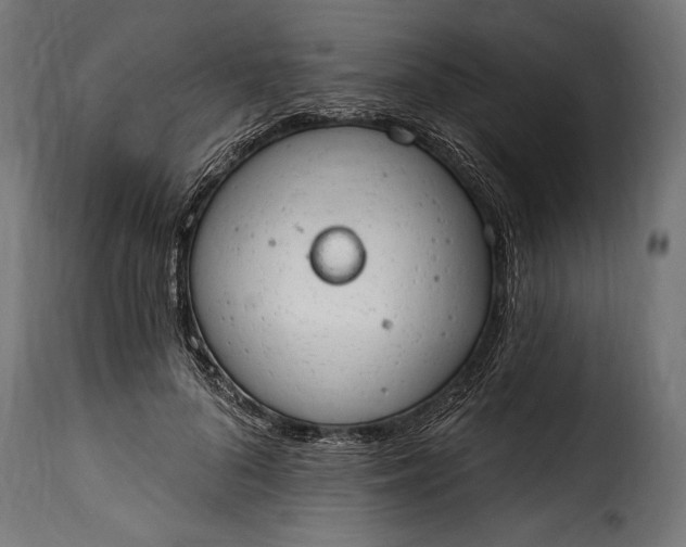 X0000115630696200911241647