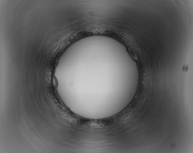 X0000115630697200911241647