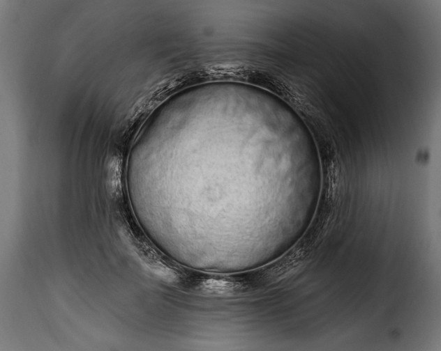 X0000115630699200911241647