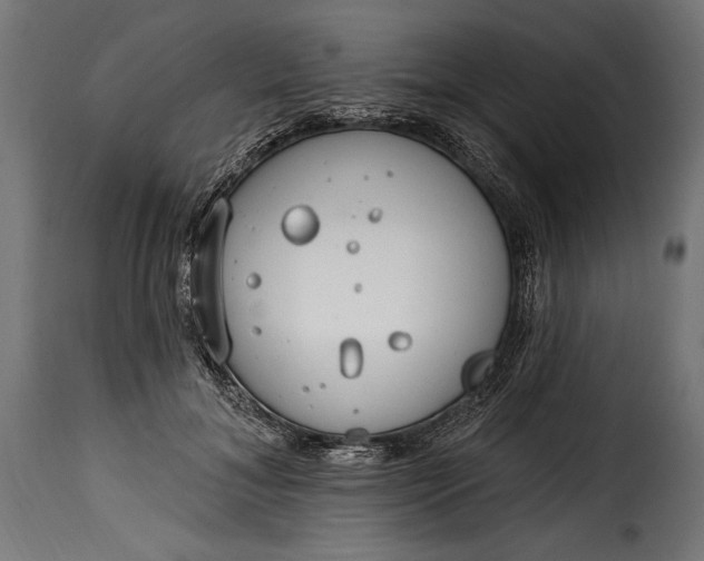 X0000115630700200911241647