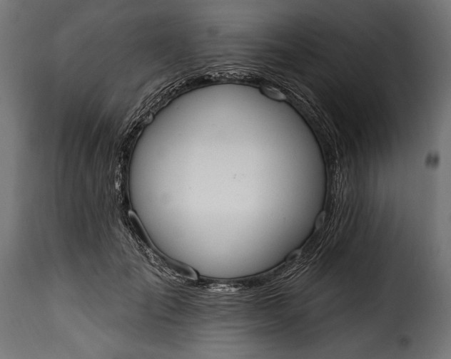 X0000115630701200911241647