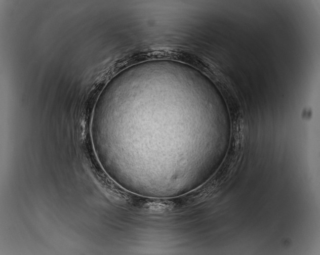 X0000115630703200911241647