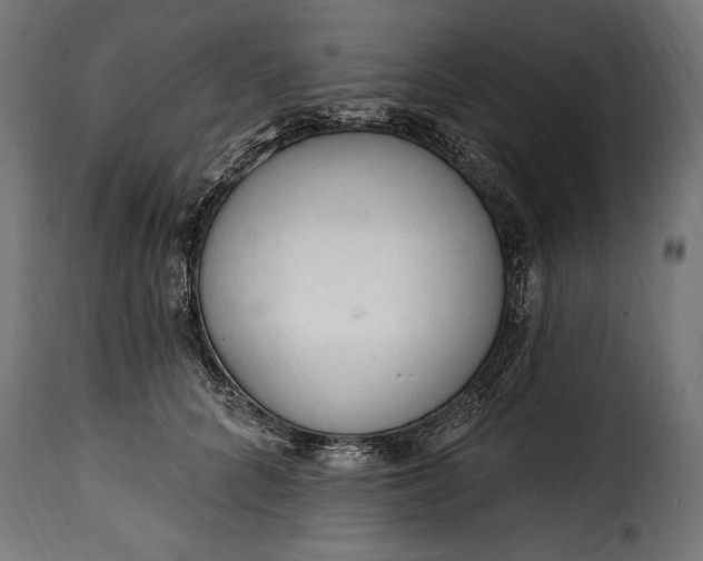 X0000115630704200911241647