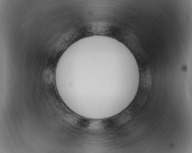 X0000115630705200911241647