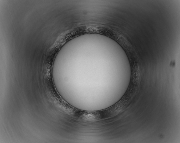 X0000115630706200911241647