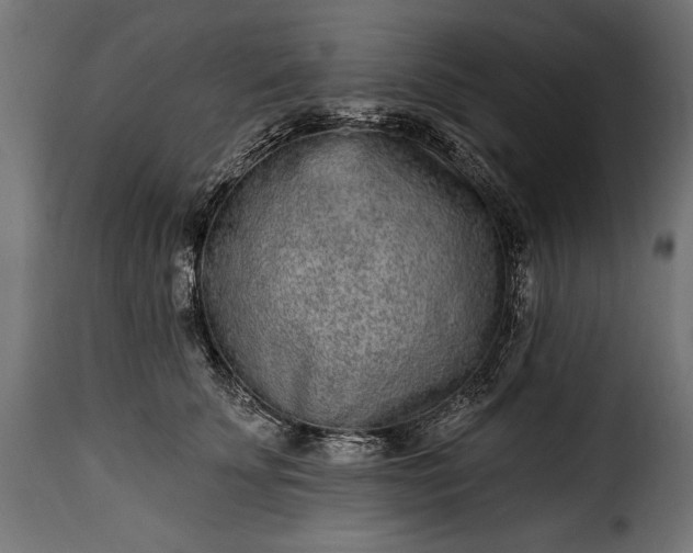 X0000115630707200911241647