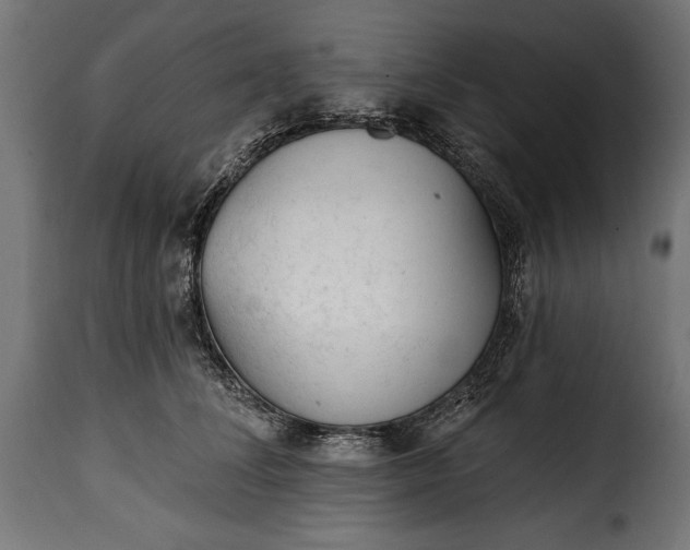 X0000115630708200911241647