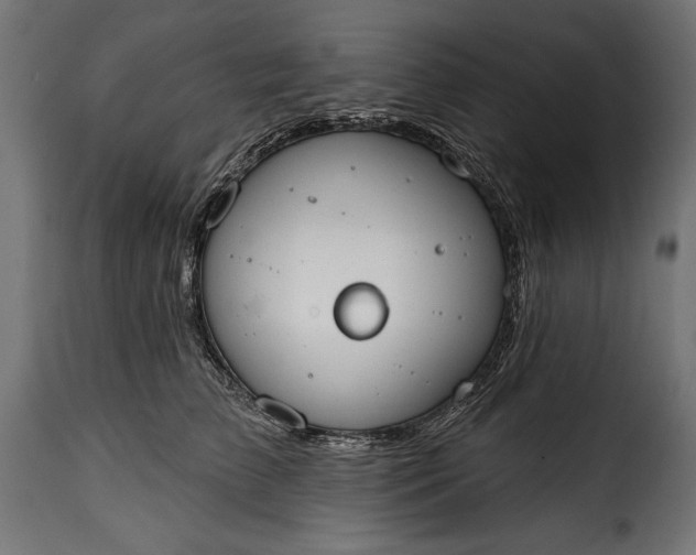 X0000115630709200911241647