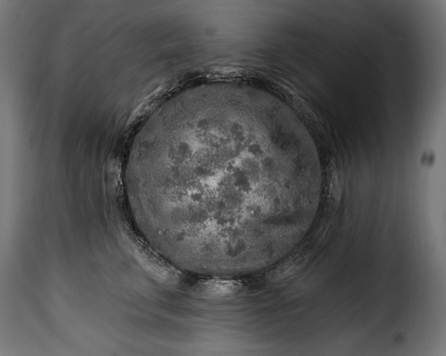 X0000115630711200911241647