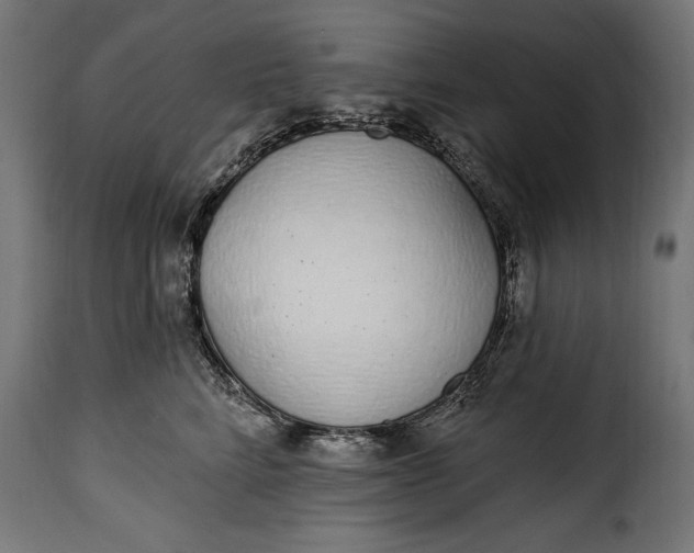 X0000115630712200911241647