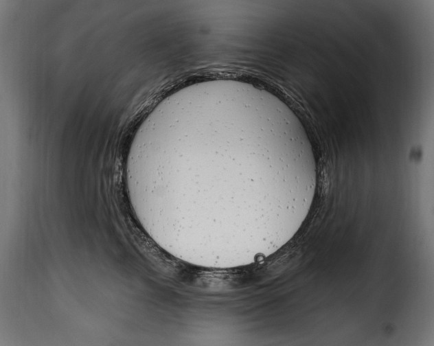 X0000115630713200911241647