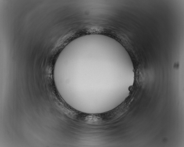 X0000115630714200911241647