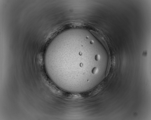 X0000115630715200911241647