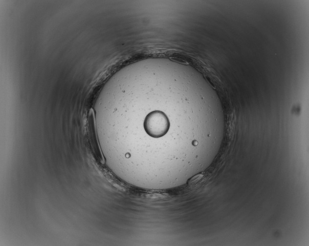 X0000115630716200911241647