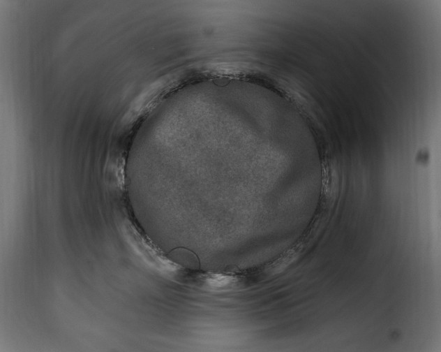 X0000115630718200911241647