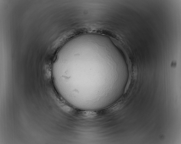 X0000115630719200911241647