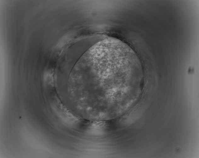 X0000115630720200911241647