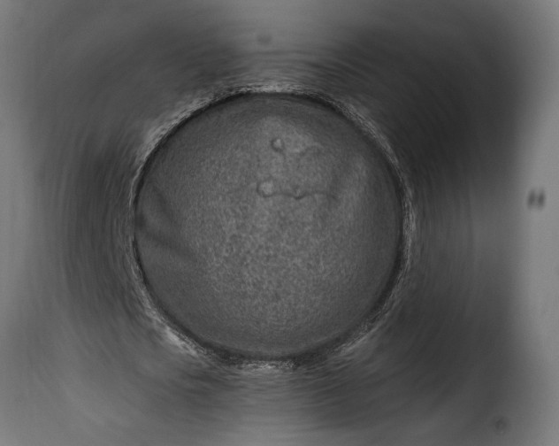 X0000115630721200911241646