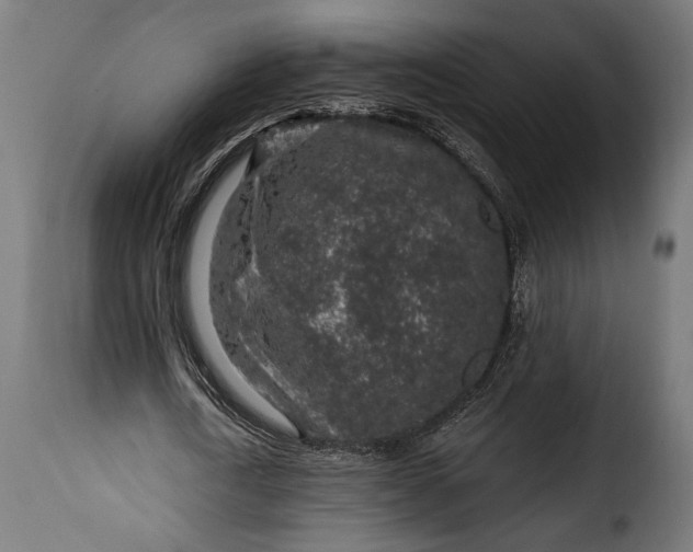 X0000115630722200911241646