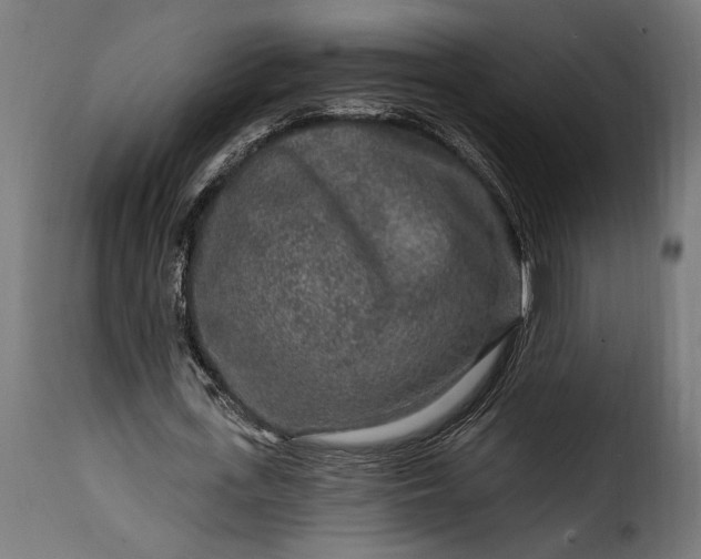 X0000115630723200911241646