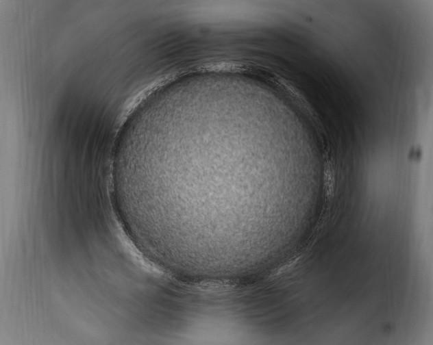 X0000115630725200911241646