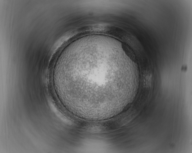 X0000115630726200911241646