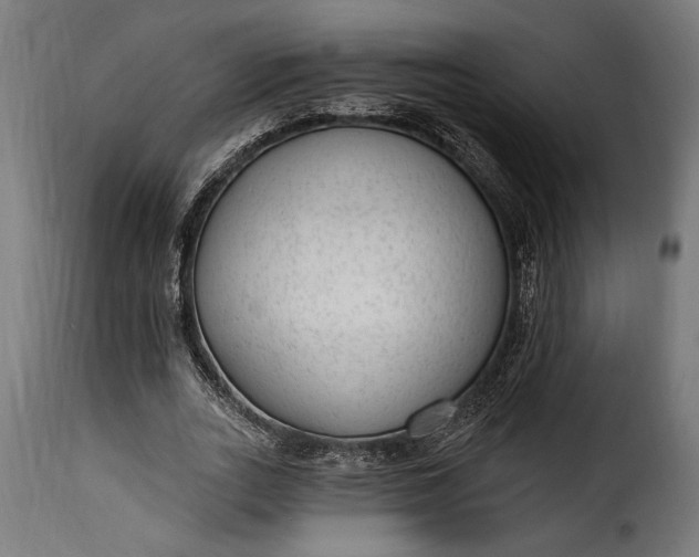 X0000115630727200911241646