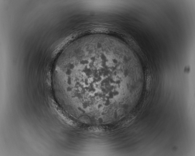 X0000115630729200911241646