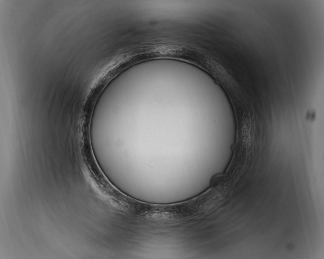 X0000115630730200911241646