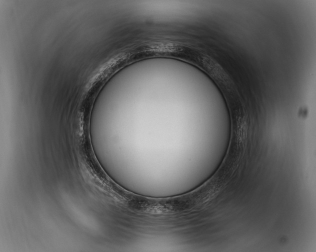 X0000115630731200911241646