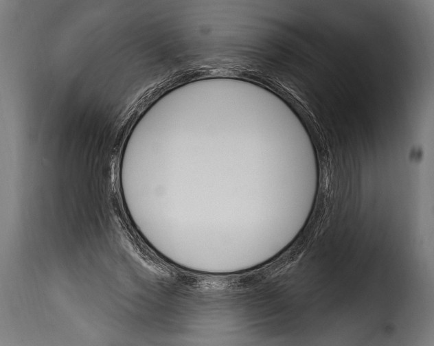 X0000115630733200911241646