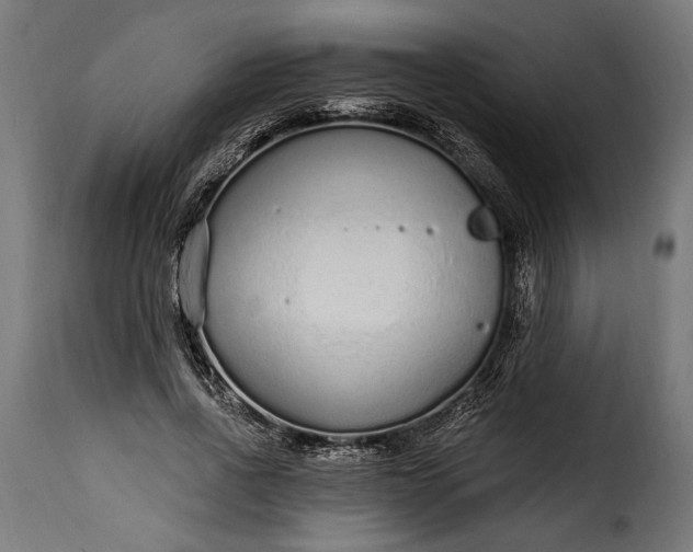 X0000115630734200911241646