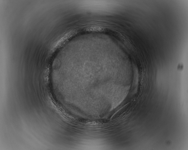 X0000115630735200911241646