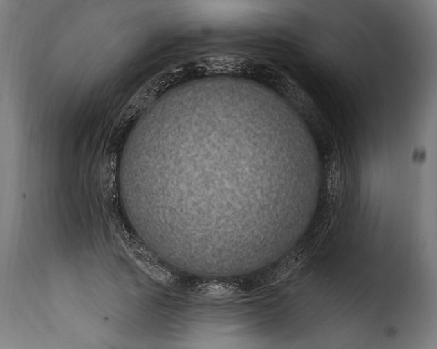 X0000115630737200911241646