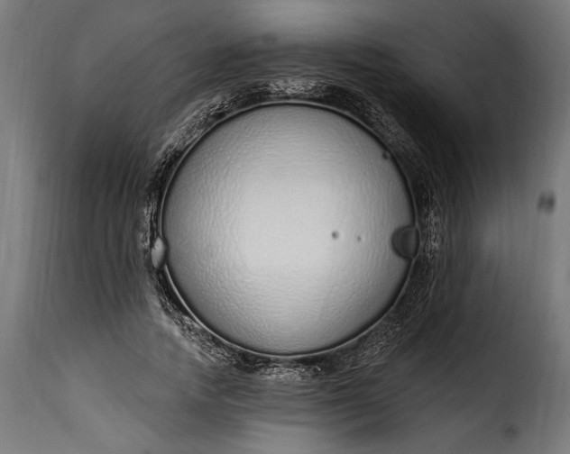 X0000115630738200911241646