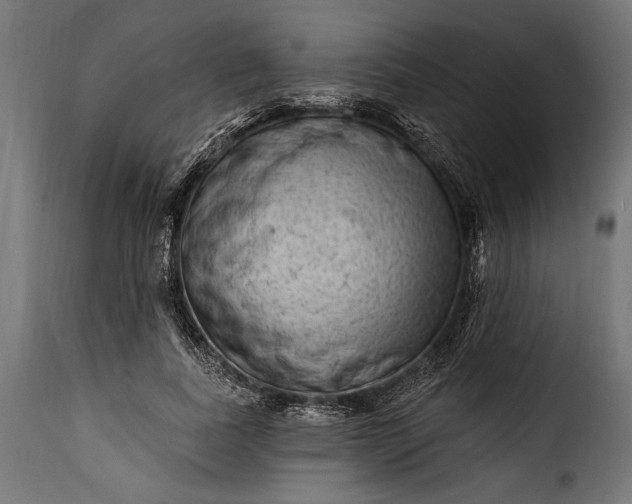 X0000115630739200911241646