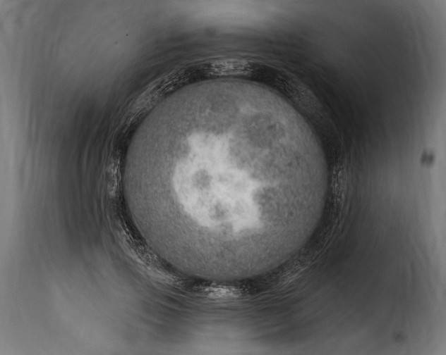 X0000115630741200911241647