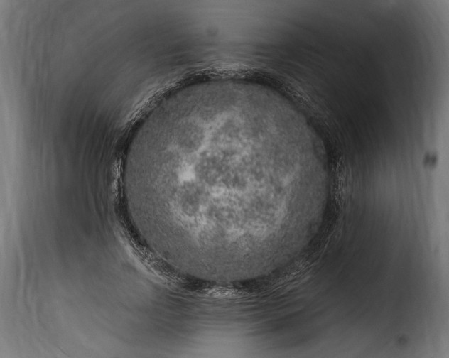 X0000115630742200911241647