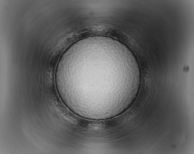 X0000115630745200911241647