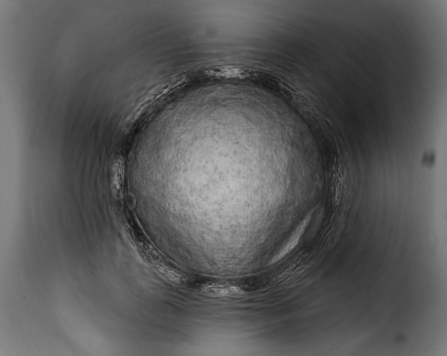 X0000115630747200911241647