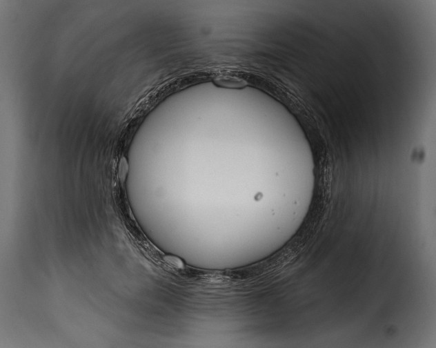 X0000115630750200911241647