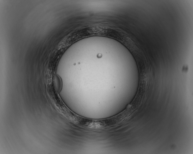 X0000115630751200911241647