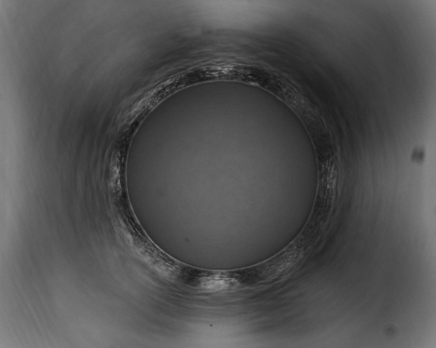 X0000115630754200911241647